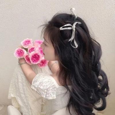 鸭川荷尔摩